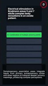 USMLE-1 Somatosensory Cortex & Brain Lesions Quiz