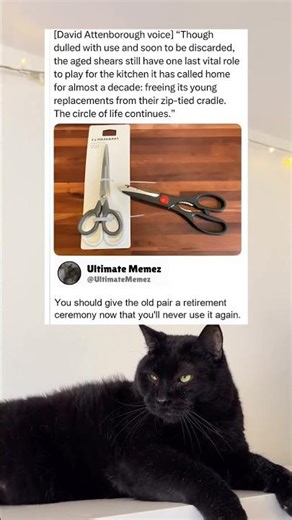 ✂️ The Old Scissors Had One Final Job Before Retirement and It Was Perfect