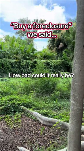 Reality of Buying a Foreclosure: Our Renovation Journey