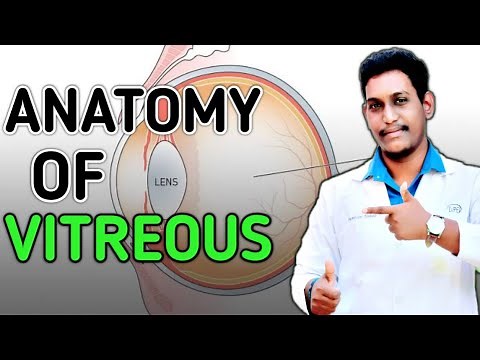 anatomy of vitreous humour ||vitreous anatomy ||session:15 ||2020