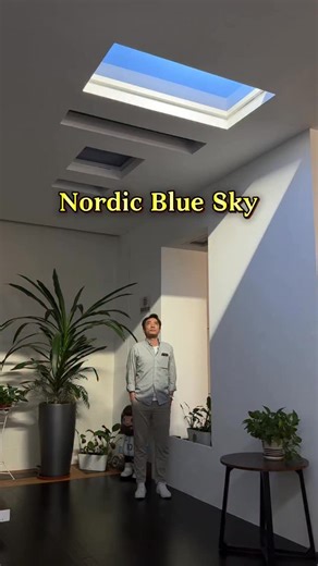 Jackie | It was as if the blue sky of northern Europe had been brought into the home.#skylight | Instagram