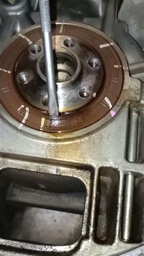 Crankshaft Oil Seal Leak Problem