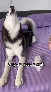 😎😎 | Pretty things