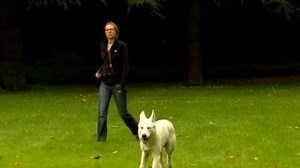 DOGS Tipp: Rückruftraining Für das Rückruftraining eignet sich die Verwendung einer Pfeife, da diese weit und deutlich hörbar ist. Du startest jetzt zunächst einmal in ablenkungsfreier Umgebung. Dein Hund darf frei herumlaufen. Nun lockst du ihn zu dir, entweder durch Geräusche wie z. B. Schnalzen oder indem du dich hinhockst oder auch ein paar Schritte rückwärts gehst. Kommt dein Hund auf dich zugelaufen, gibst du das neue Signal, also den Pfiff, kurz bevor der Hund bei dir angekommen ist. Dein