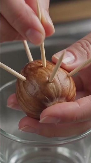 How to Grow an Avocado Tree from Store-Bought Avocado Seed 🥑 (Easy Step-by-Step at Home)