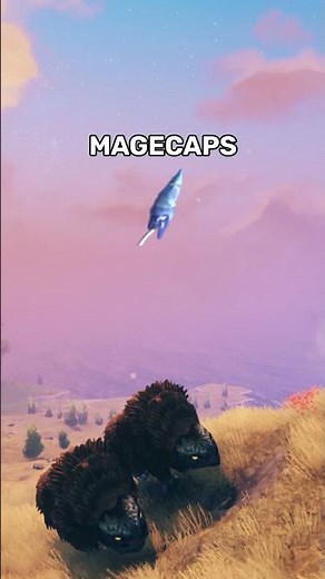 Best Locations to Farm Crops | Valheim