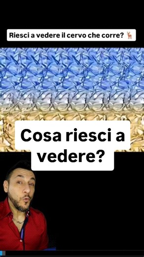 Giovanni DOC Fenu | Metodo di Studio | Apprendimento Fenomenico | Se una persona riesce a vedere facilmente gli stereogrammi (quelle immagini che sembrano caotiche ma, se le guardi nel modo giusto,... | Instagram