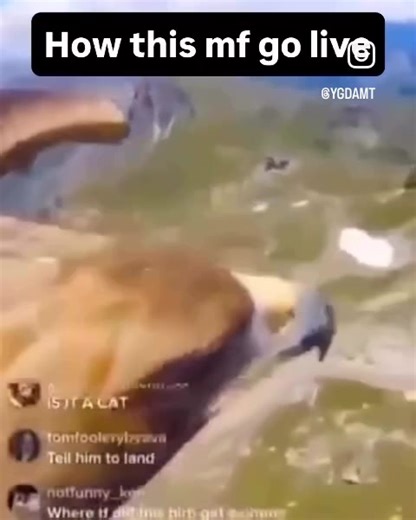 Hilarious Red Bull Meme Compilation