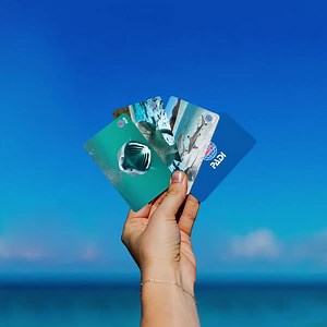 Upgrade your dive certification card with one of our 3 NEW limited edition wildlife designs featuring a basking shark, one merry manatee, and a shiver of blacktip reef sharks! Showcase your dive skills and PADI diver status worldwide with a waterproof, physical card made from recycled materials (perfect for remote destinations with limited mobile access), travel light with PADI eCard mobility, or maintain both. We’ll donate $10 US from every card purchase to the PADI AWARE Foundation™ to support