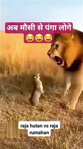 ‪@weirddwindoww00‬1cr