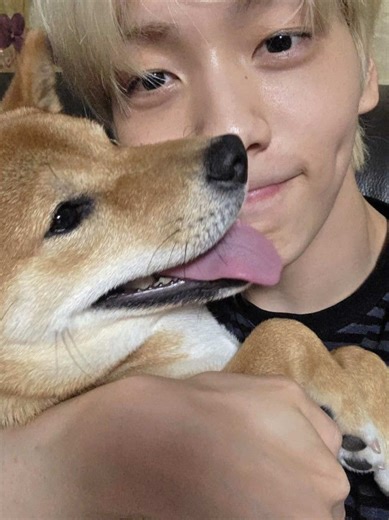 Freefall: An Exciting Preview of Tomorrow X Together's Album