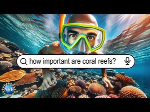 Here's Why Coral Reefs Matter