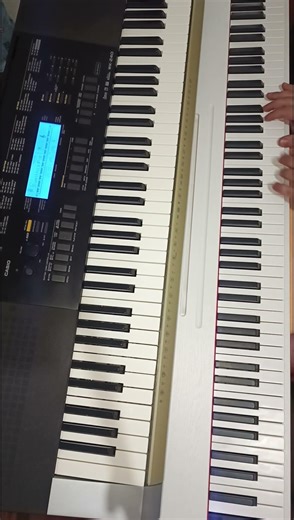 Casio Wk 240 PAD Joy wp25 Piano #amazing #musica #argentina