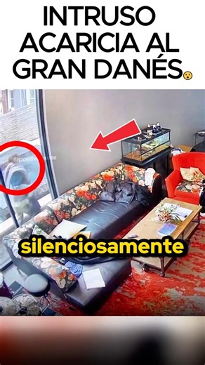 De gigante amable a perro guardián