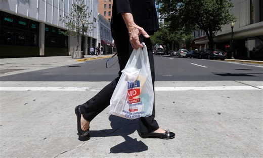 Elgin advances ordinance to ban single-use plastic bags at major retailers