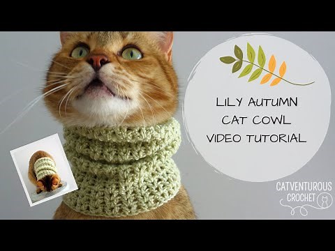Lily Autumn Cat Cowl - Catventurous Crochet