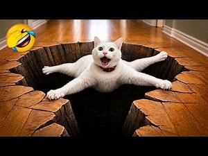 笑ったら負け！😂 最強に笑える犬と猫の動画集