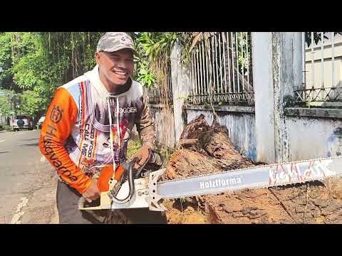 Stihl ms461 with bar 36 inch holzfforma light cut