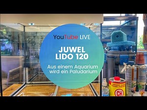 Ein Aquarium zum Paludarium einrichten