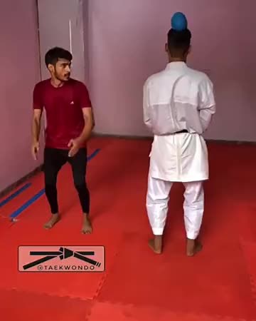 L.R. taekwondo.sport on TikTok