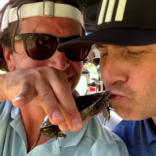 Fun Animal Fact: A turtle kiss gives you seven years good luck! 🤣💕🐢😘 #InternationalKissingDay | The Pet Collective