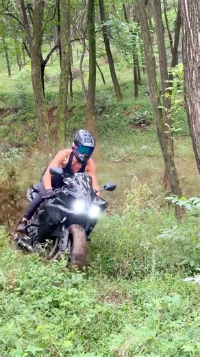 V8 sounds 📢📢 | Dirt 737