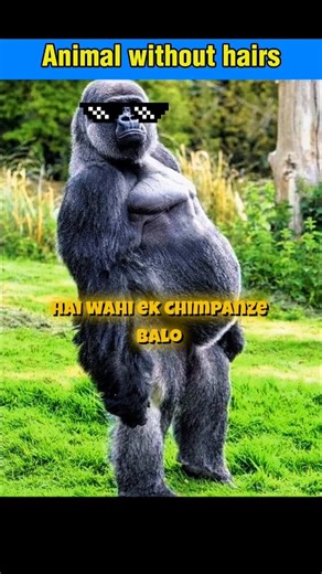 Animal without hairs #facts