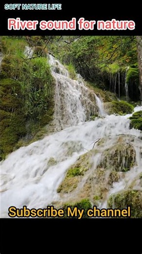 River Sound for Nature | Relex sleeping music