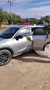 230K views · 5.5K reactions | Felicitaciones a Miriam por sus 15 años, Dolores Hidalgo, Gto. 10 de Diciembre del 2023 | Fotografia y Video Fuentes | Facebook