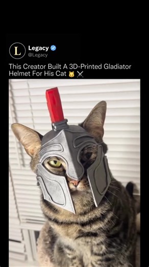Legacy on Instagram: "This is what happens when consumer-grade 3D printing meets zero impulse control and a very patient cat. The process starts by digitally modeling the cat's head proportions, making sure the helmet clears the ears, eyes, and whiskers while staying balanced and lightweight. That model is then sliced into hundreds of layers and printed using plastic filament, with each layer fused precisely on top of the last. After printing, the helmet is hand-finished and test-fitted, because