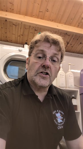 🐶✨ Is your Cockerpoo nervous at the groomers? You’re not alone! Many Cockerpoos struggle with grooming, and it’s often not the dog or the groomer’s fault. The real key to a stress-free grooming experience? Open communication and understanding. From discussing past experiences to sharing home grooming routines, clear conversations between owners and groomers can transform nervous visits into calm, positive experiences. 🐾 Discover practical tips for handling nervous Cockerpoos, coat care advice,