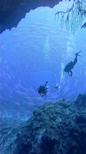 Caribbean Waves 🌴 | Tropical Chill Reggae Vibes | Wave 92 #caribbeanwaves #travel #tropicalchill