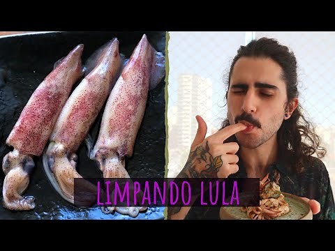 COMO LIMPAR LULA + RECEITA - HUGO MERCHAN