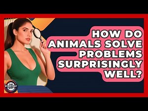 How Do Animals Solve Problems Surprisingly Well? - The Everyday Why
