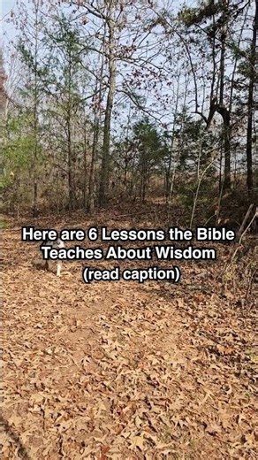 Here are 6 Lessons the Bible Teaches About Wisdom ⬇️