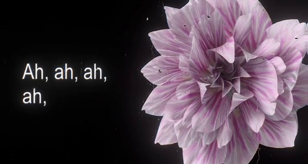 So soaked>> #aesthetic #songs #lyrics #musicvibes #fyp