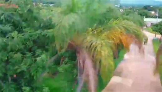 Handipere Chinonaka chaavako kuYoutube #everyone #viral #fyp #zimtiktokers🇿🇼🇿🇼🇿🇼 @JMP ENTERTAINMENT