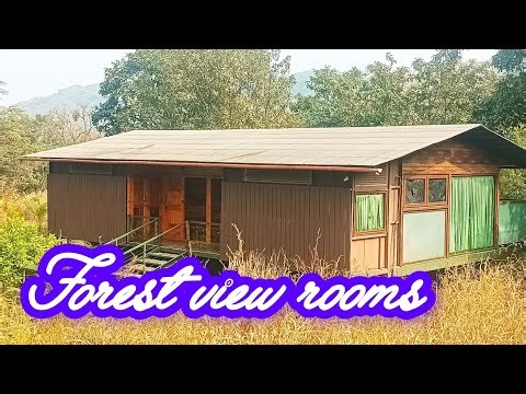 #सुंदर असा स्टे वुडन कॉटेज मध्ये पीसपूल सुंदर निसर्ग निसर्गाच्या सानिध्यात पशु पक्षांमध्ये#bhajan