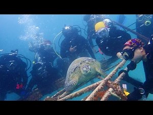 Scuba Diving at Mabul Island