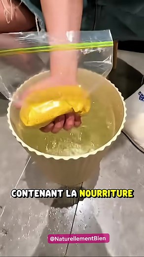 🫙💨 Mettez vos aliments sous vide pour 0 € ! Une astuce simple, économique et sans machine 👇 Découvre comment conserver tes aliments plus longtemps tout en gardant leur fraîcheur naturelle 🥬🍗 #astuce #maison #alimentation #cuisine #zerodechet #fyp #pourtoi #noel #gadgets #cadeau | Naturellement Bien