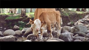 7 comments | Appreciate the beauty of music: Sony Ericsson S-75 LED Colorful Bluetooth Speaker Click here: https://bit.ly/2LlLsqN | JD.com Global | Facebook