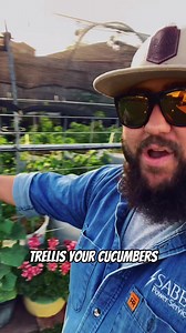 5 Tips for Growing Better Cucumbers! | Texas Garden Guy