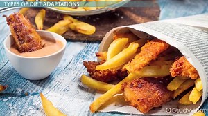 Diet Adaptations & Alternative Feeding Methods - Video | Study.com