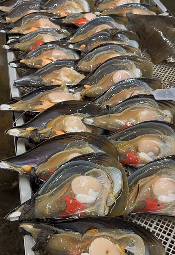 三河湾の絶品魚介｜愛知・岬だよりの天然干物と佃煮