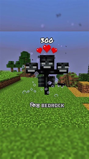 Minecraft Bedrock vs Java 🔥