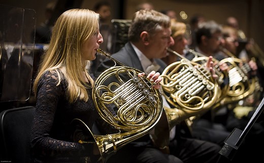 7 Best French Horns Reviewed in Detail [Jun. 2025]