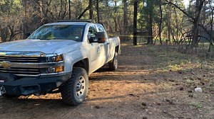 Here's why wildlife officials euthanized 3 bears that apparently killed Durango woman