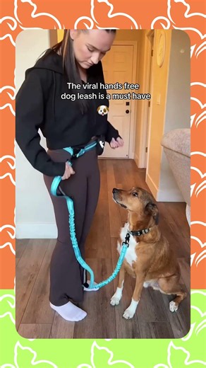 This Hands-Free Dog Leash Is a Game Changer! 🐶🚶 #shorts