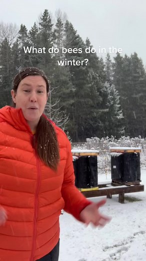 rushingriverapiaries on TikTok