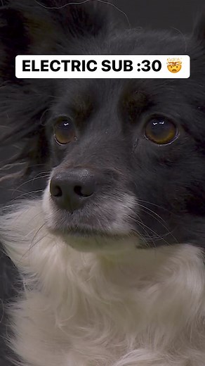 SUB :30 FROM NIMBLE 😳⚡️ An absolutely ELECTRIC run from your 12” class champion! 🔥 | FOX Sports